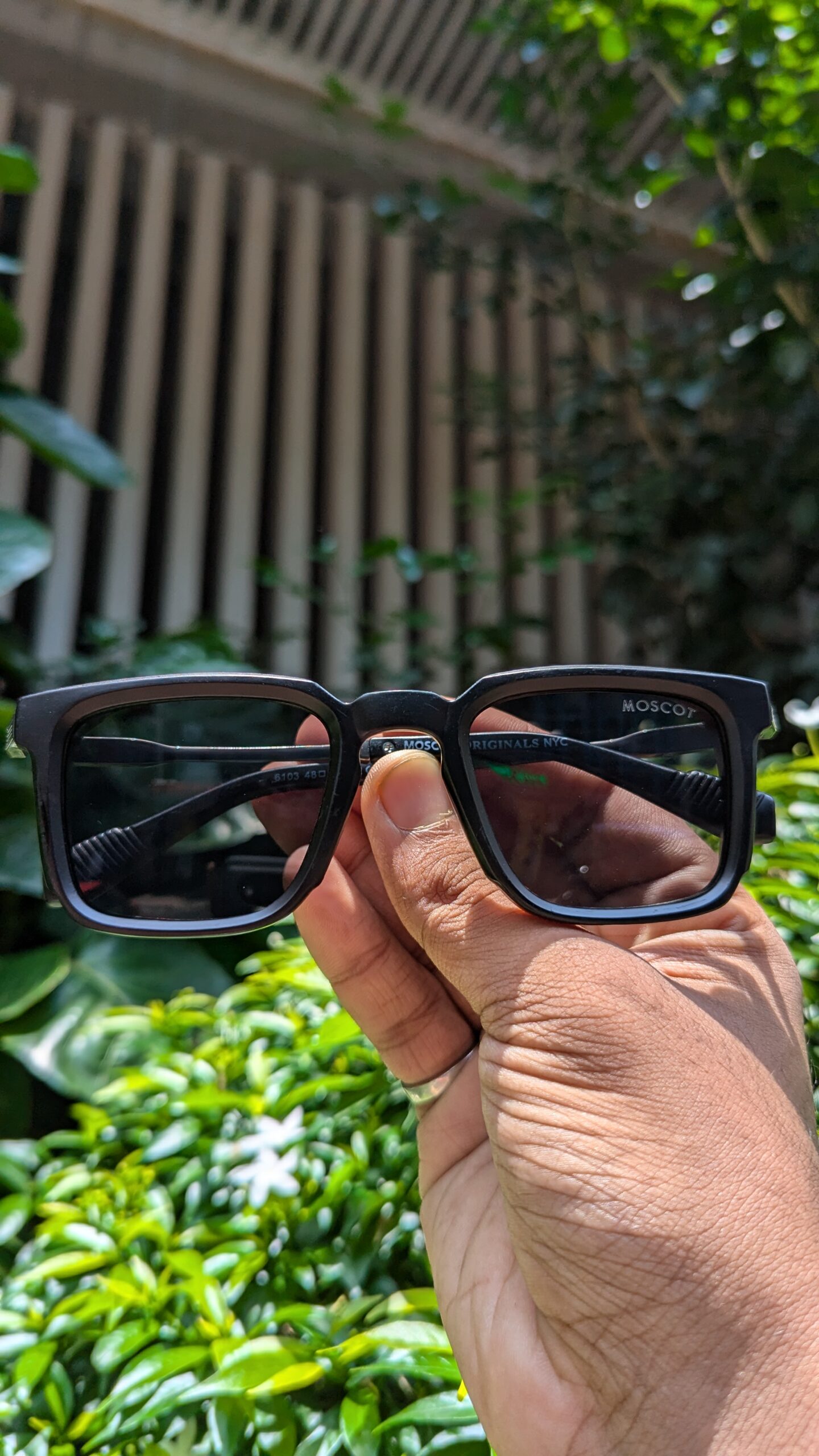 Moscot premium Brand Sunglasses - Image 2