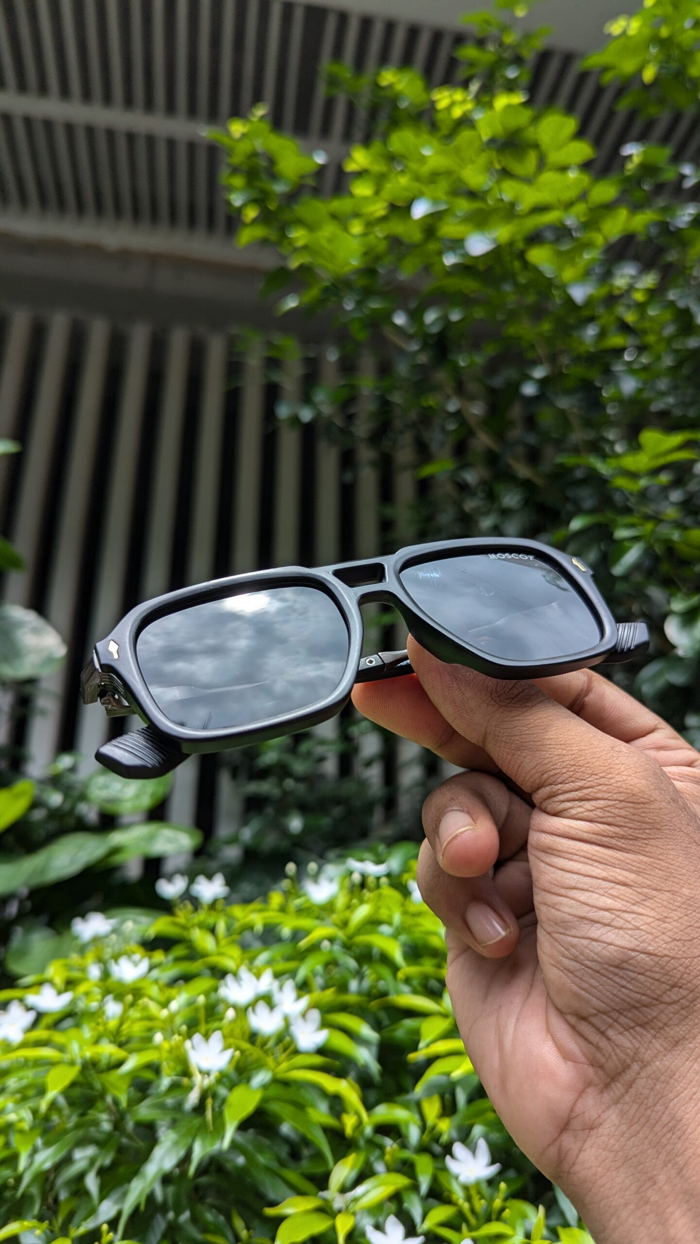 Black&Black Color Unique moscot Sunglasses - Image 2