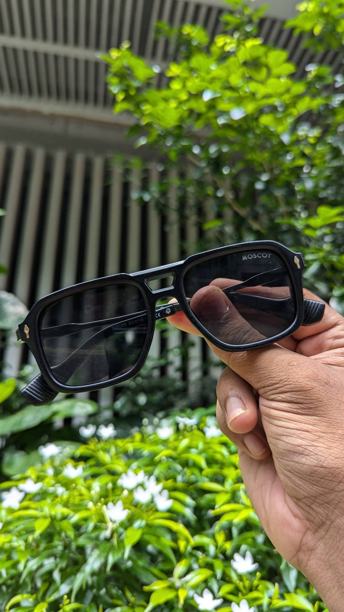 Black&Black Color Unique moscot Sunglasses